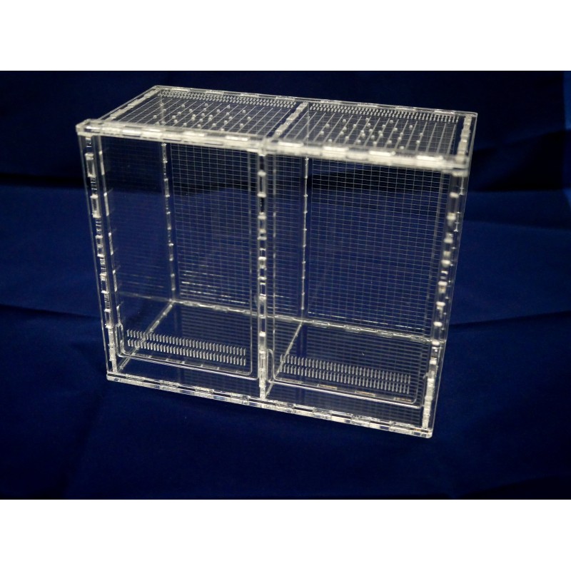 Terrarium akrylowe podw&oacute;jne dla modliszki 10x20x15cm | Terraria | Vantis Terra