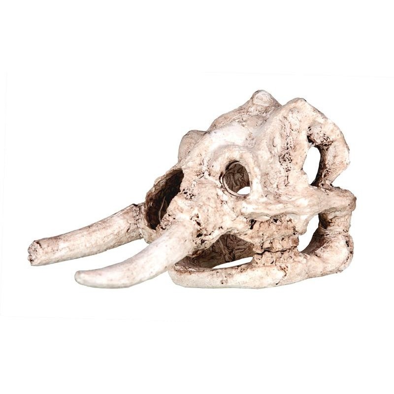 Kryjówka Czaszka mamut Happet | Czaszki | Vantis Terra Kryjówka Czaszka mamut Happet | Czaszki | Vantis Terra