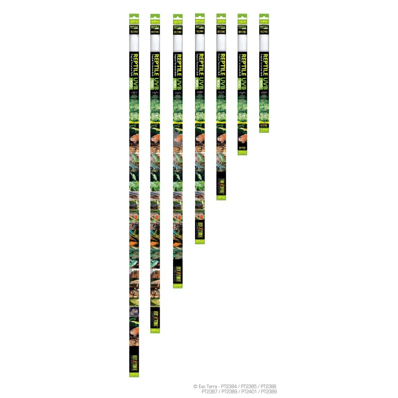 Świetlówka Exo Terra Reptile UVB100 14W - 38cm | Żarówki, Świetlówki, Ledy | Vantis Terra Świetlówka Exo Terra Reptile UVB100 14W - 38cm | Żarówki, Świetlówki, Ledy | Vantis Terra