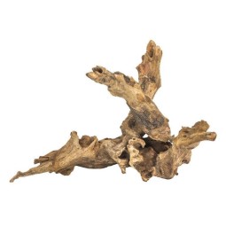 Korzeń Drift Wood - różne rozmiary | Korzenie | Vantis Terra