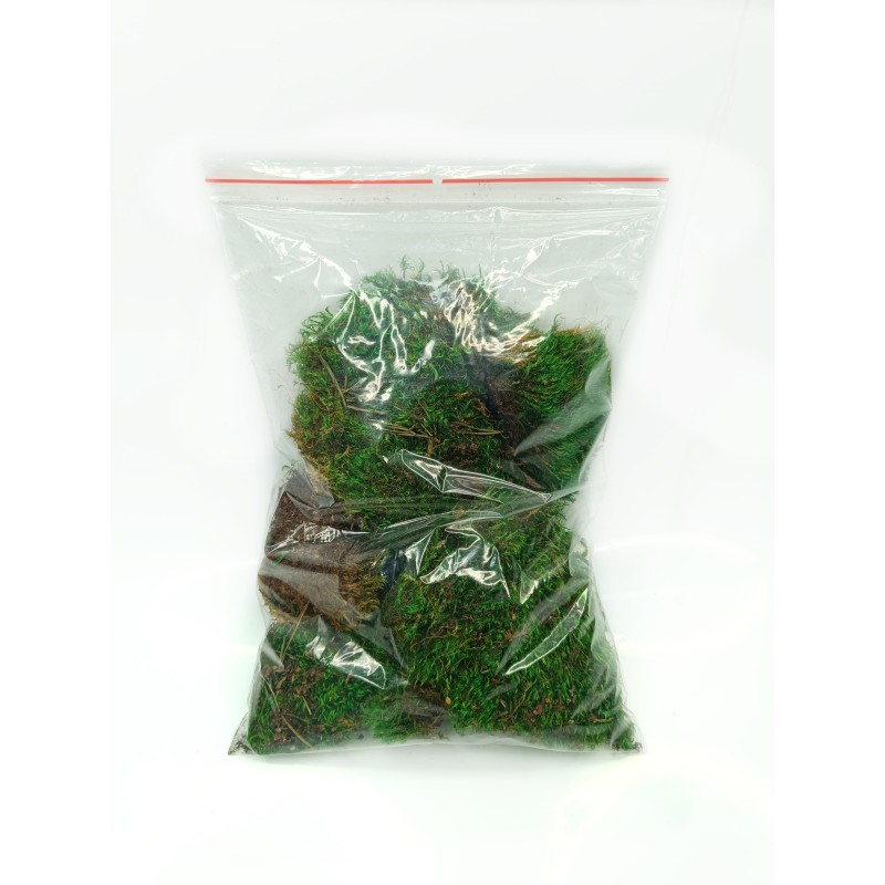 Mech w płatach zielony 30g | Dekoracje | Vantis Terra