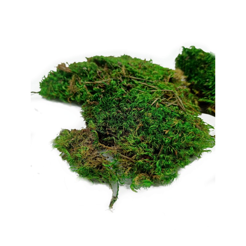 Mech w płatach zielony 30g | Strona główna | Vantis Terra