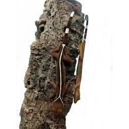 Gekon paskowany (Gekko vittatus) CB | Jaszczurki | Vantis Terra