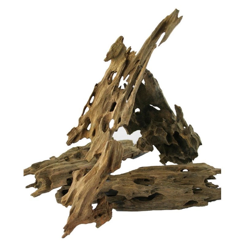 Korzeń Dragon Wood - r&oacute;żne rozmiary | Korzenie | Vantis Terra