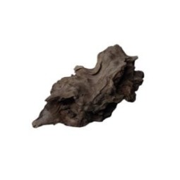 Korzeń Budda Drift Wood - różne rozmiary | Korzenie | Vantis Terra