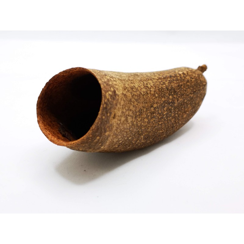 Suszony dzbanecznik | Strona główna | Vantis Terra