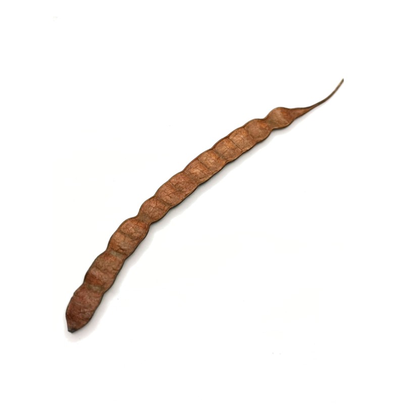 Suszony egzotyczny groch | Elementy wystroju | Vantis Terra