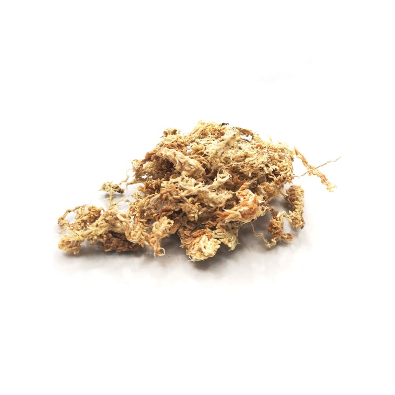 Spagmoss mech torfowiec z Chile 15 g | Podłoże | Vantis Terra Spagmoss mech torfowiec z Chile 15 g | Podłoże | Vantis Terra