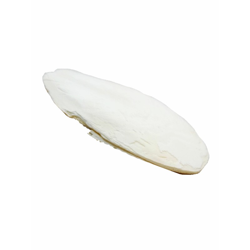 Sepia ok 15-20cm | Suplementy i witaminy | Vantis Terra