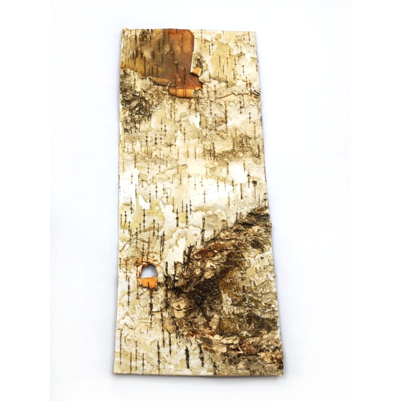 Tło z prasowanej kory brzozy - różne rozmiary | Tło | Vantis Terra