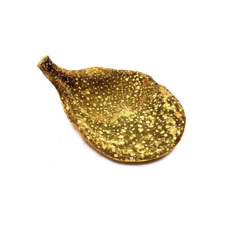 Egzotyczna płaska łupina | Susz egzotyczny | Vantis Terra