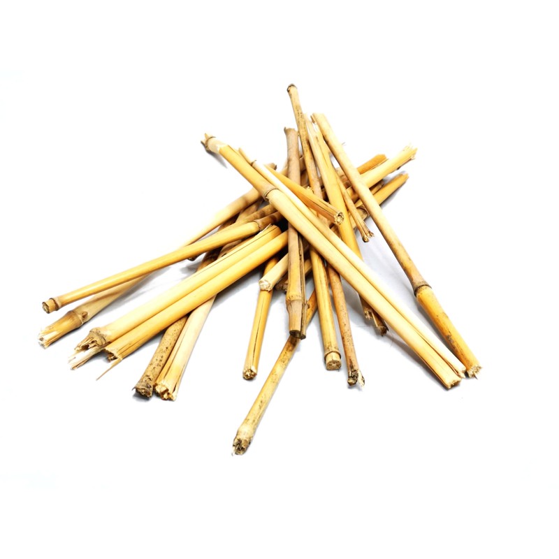 Kawałki tyczek bambusowych 50g | Pozostałe | Vantis Terra Kawałki tyczek bambusowych 50g | Pozostałe | Vantis Terra
