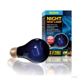 Żarówka nocna Exo Terra night heat 50w | Żarówki, Świetlówki, Ledy | Vantis Terra