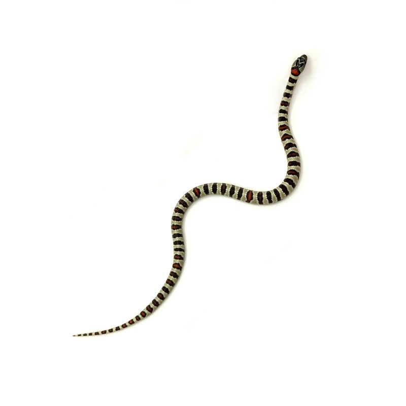 Lancetogł&oacute;w meksykański (Lampropeltis mexicana) | Węże | Vantis Terra