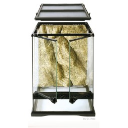 Terrarium Exo Terra SMALL 45x45x60cm Tall | Terraria | Vantis Terra