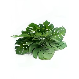 Sztuczna monstera - różne kolory | Sztuczne | Vantis Terra Sztuczna monstera - różne kolory | Sztuczne | Vantis Terra