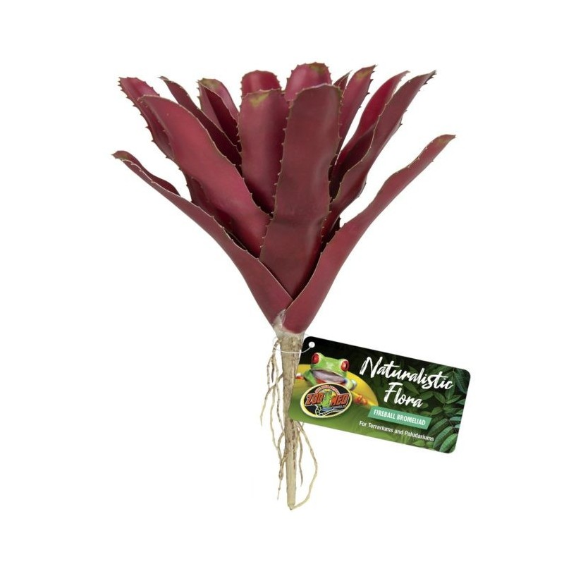 Sztuczna neoregelia ZooMed - różne odmiany | Sztuczne | Vantis Terra Sztuczna neoregelia ZooMed - różne odmiany | Sztuczne | Vantis Terra