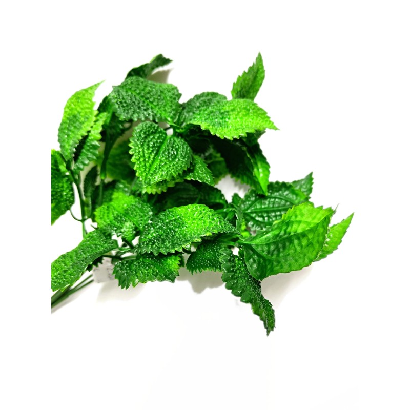 Sztuczna peperomia | Sztuczne | Vantis Terra Sztuczna peperomia | Sztuczne | Vantis Terra