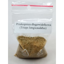 Przekopnica długowidełkowa (Triops Longicaudatus) 50g