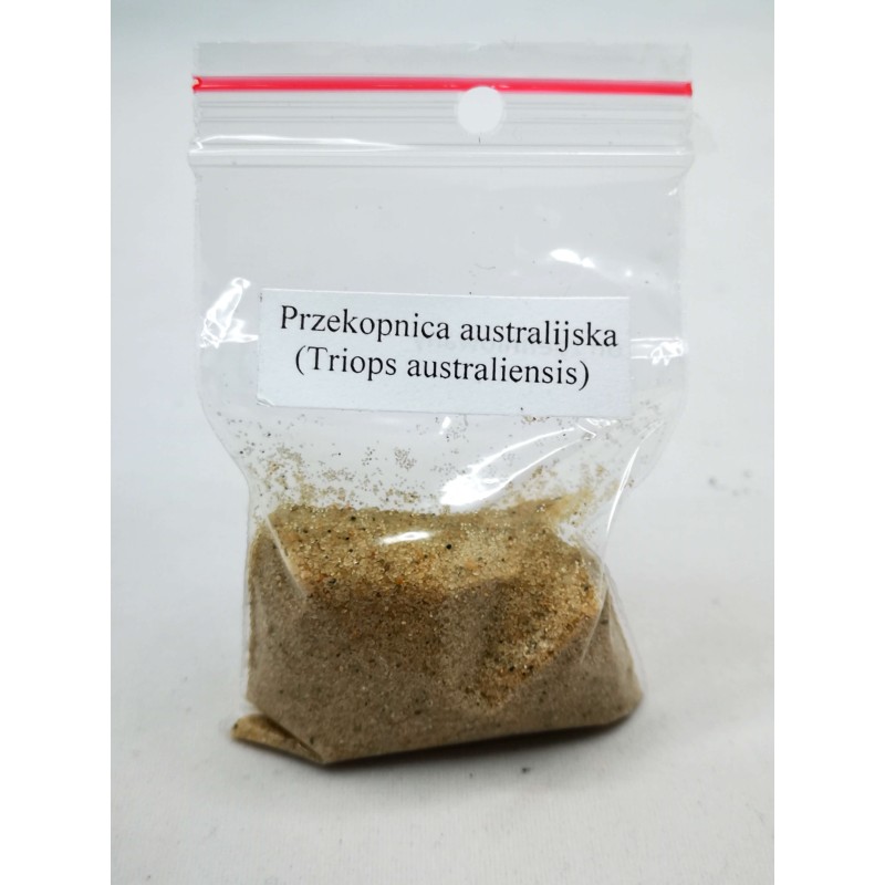 Przekopnica australijska (Triops australiensis) 50g | Strona gł&oacute;wna | Vantis Terra