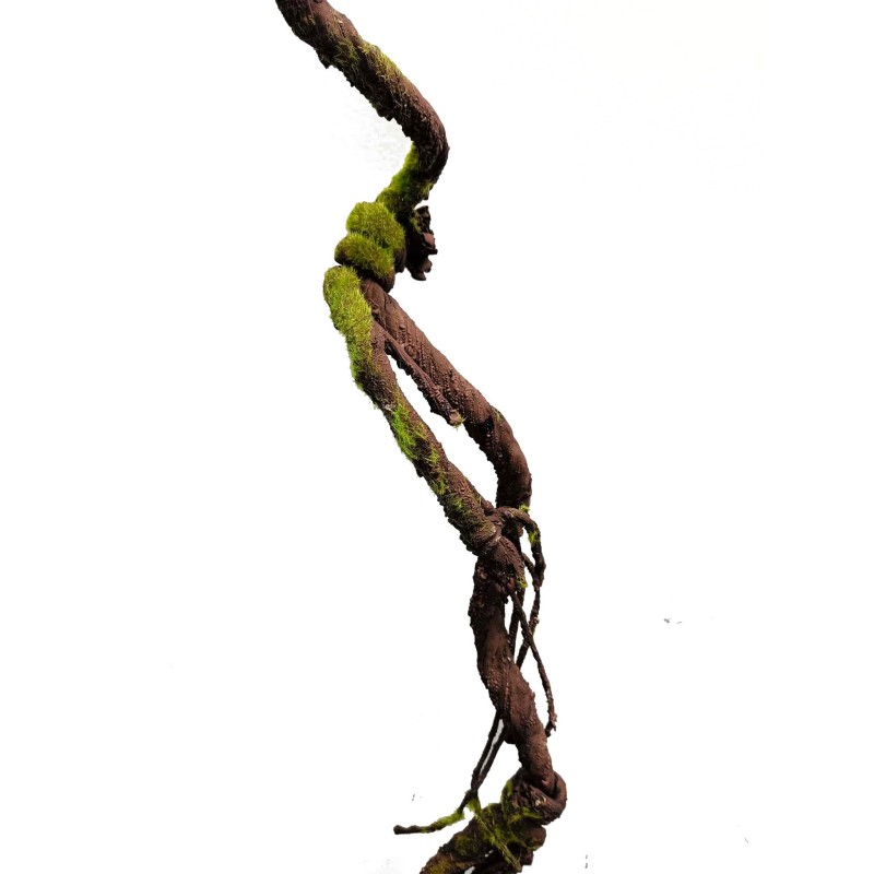 Sztuczna liana Brązowa z mchem 150cm | Liany | Vantis Terra