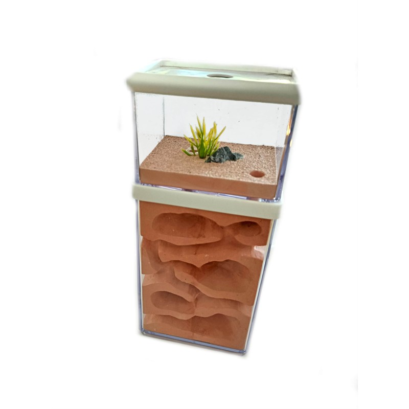 Formikarium akrylowe 8x10x22,5 cm | Formikaria, areny | Vantis Terra