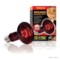 Żarówka grzewcza Exo Terra Infrared basking spot | Żarówki, Świetlówki, Ledy | Vantis Terra