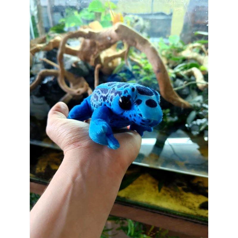 Pluszowy drzewołaz wydający dźwięk Wild Republic 20cm | Gadżety i zabawki | Vantis Terra Pluszowy drzewołaz wydający dźwięk Wild Republic 20cm | Gadżety i zabawki | Vantis Terra