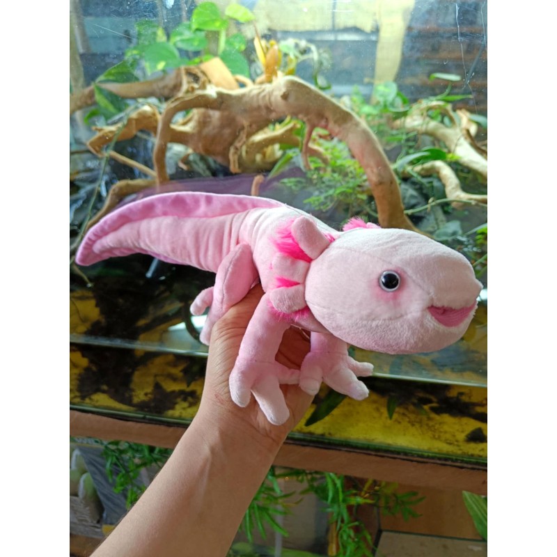 Pluszowy Aksolotl Mini Wild Republic 20cm | Gadżety i zabawki | Vantis Terra