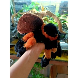 Pluszowy Ptasznik pomarańczowokolanowy Wild Republic 30cm | Gadżety i zabawki | Vantis Terra