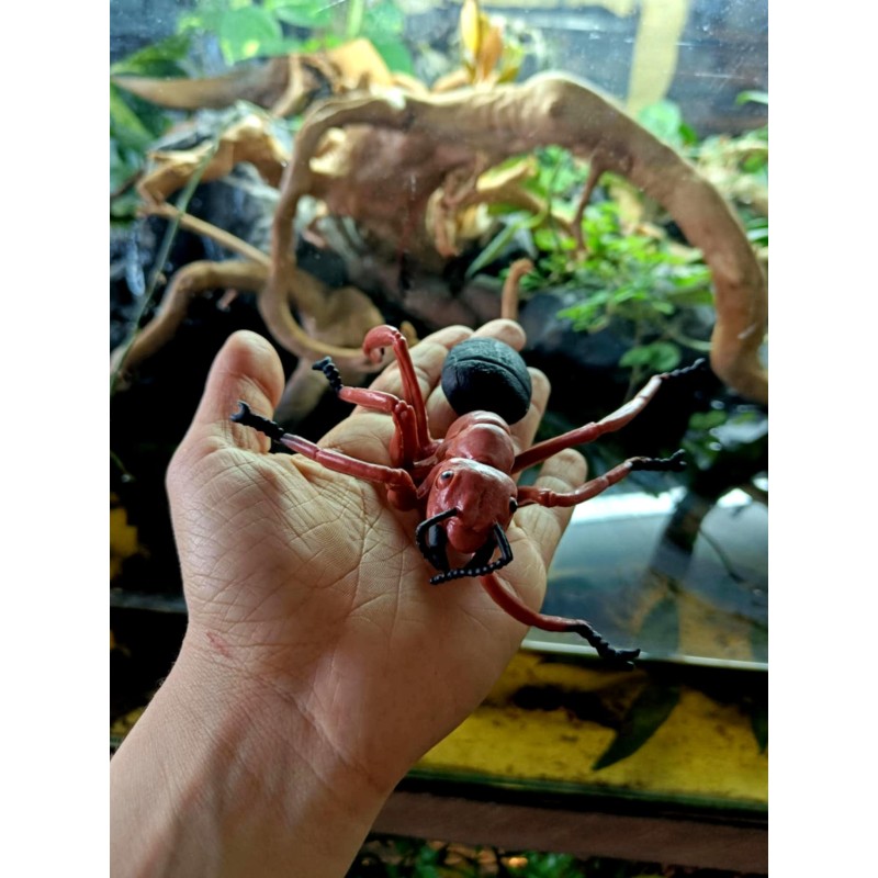 Zabawka Mr&oacute;wka Wild Republic 14cm | Gadżety i zabawki | Vantis Terra