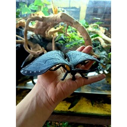 Zabawka Motyl Wild Republic 21cm | Gadżety i zabawki | Vantis Terra