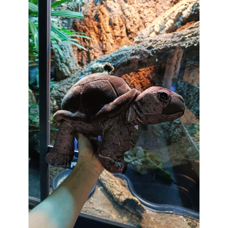 Pluszowy Ż&oacute;łw lądowy Wild Republic 30cm | Gadżety i zabawki | Vantis Terra