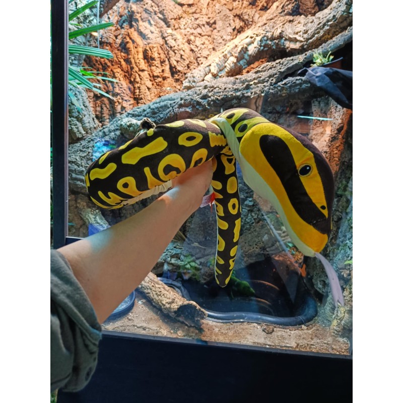Pluszowy wąż Pyton kr&oacute;lewski Wild Republic 137cm | Gadżety i zabawki | Vantis Terra