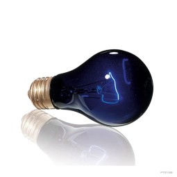 Żarówka nocna Exo Terra Night heat | Żarówki, Świetlówki, Ledy | Vantis Terra